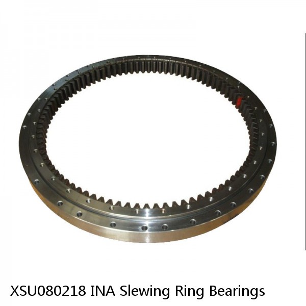 XSU080218 INA Slewing Ring Bearings