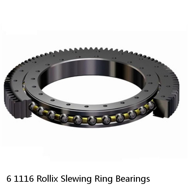 6 1116 Rollix Slewing Ring Bearings