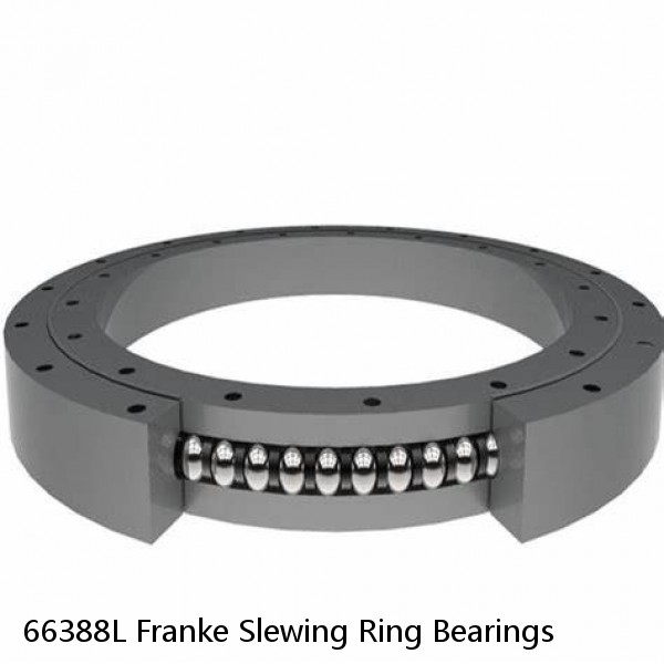 66388L Franke Slewing Ring Bearings