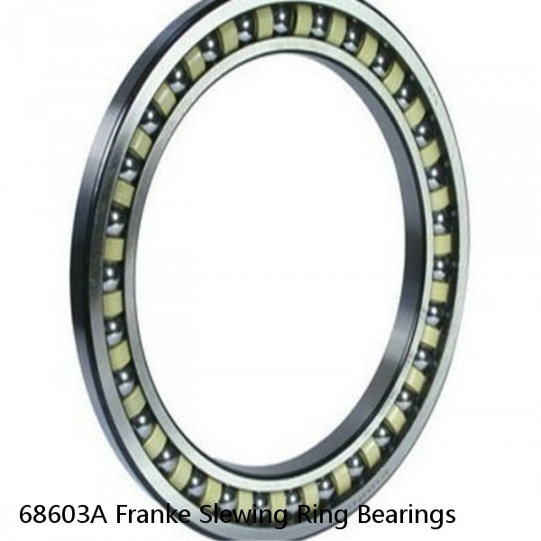 68603A Franke Slewing Ring Bearings