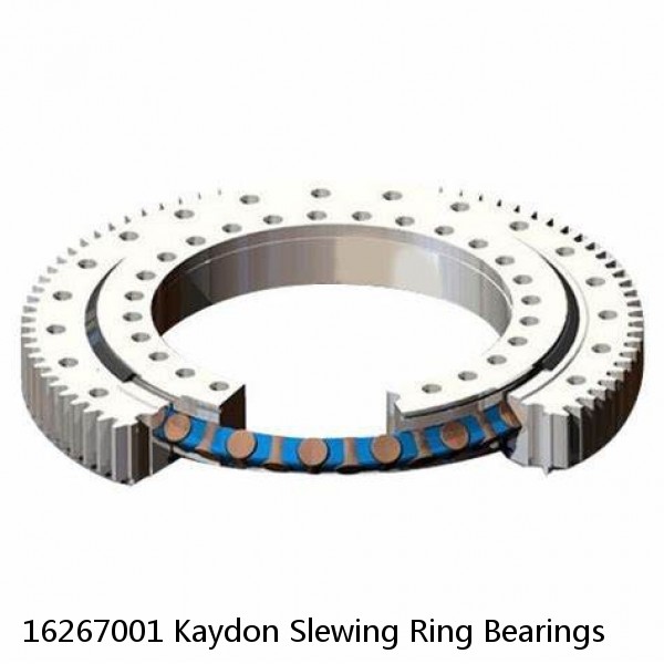 16267001 Kaydon Slewing Ring Bearings