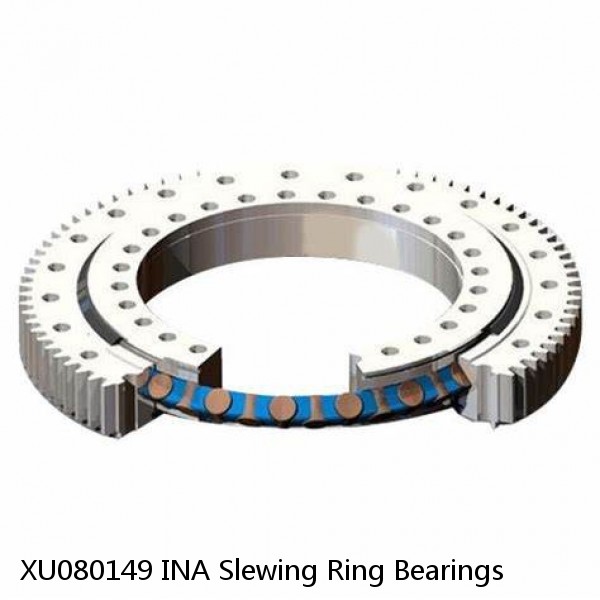 XU080149 INA Slewing Ring Bearings