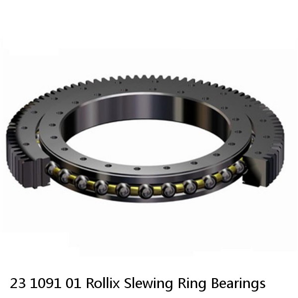 23 1091 01 Rollix Slewing Ring Bearings