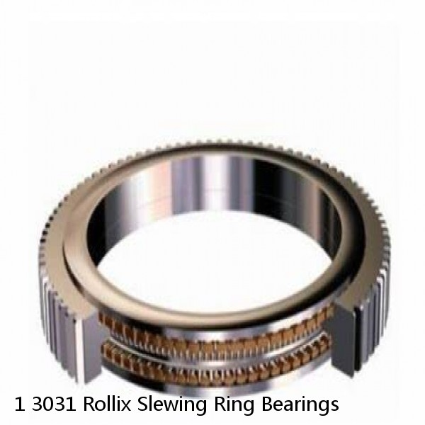 1 3031 Rollix Slewing Ring Bearings