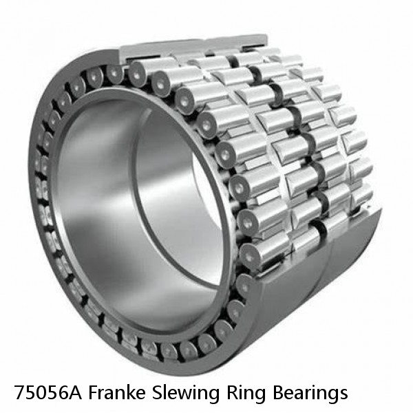 75056A Franke Slewing Ring Bearings