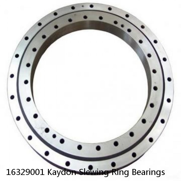 16329001 Kaydon Slewing Ring Bearings