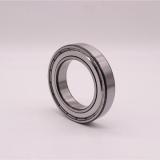 Highly  Cost-Effective, T Bearing Company (UCP204, UCT207, UC206FL.)