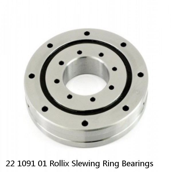 22 1091 01 Rollix Slewing Ring Bearings