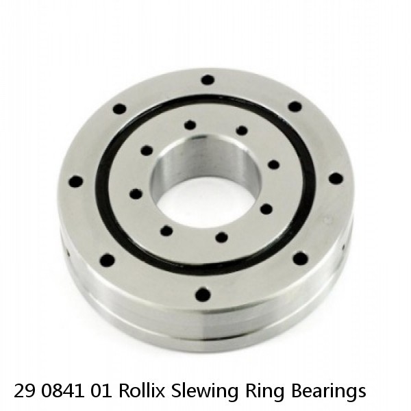 29 0841 01 Rollix Slewing Ring Bearings