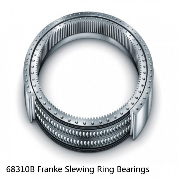 68310B Franke Slewing Ring Bearings