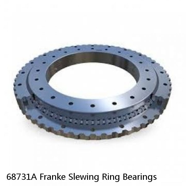 68731A Franke Slewing Ring Bearings