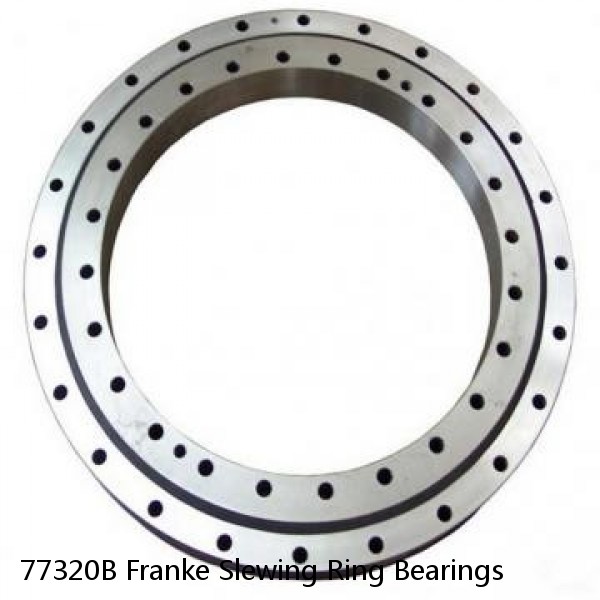 77320B Franke Slewing Ring Bearings