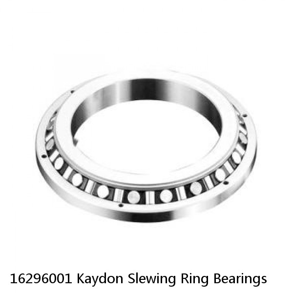 16296001 Kaydon Slewing Ring Bearings