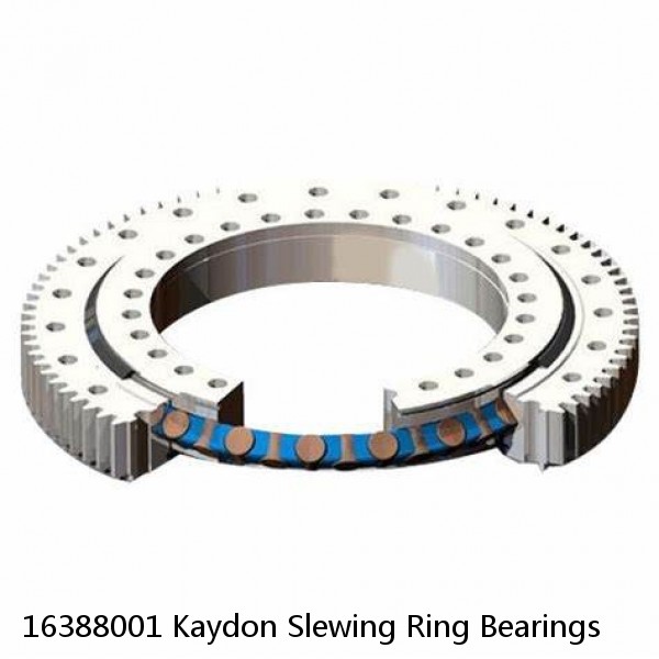 16388001 Kaydon Slewing Ring Bearings