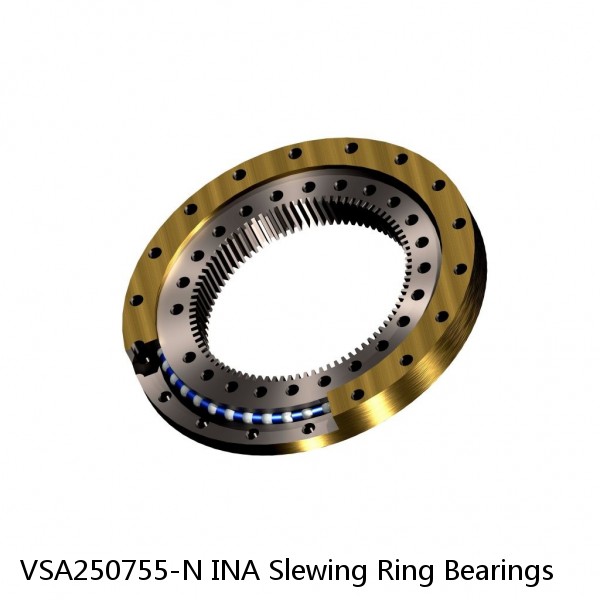 VSA250755-N INA Slewing Ring Bearings