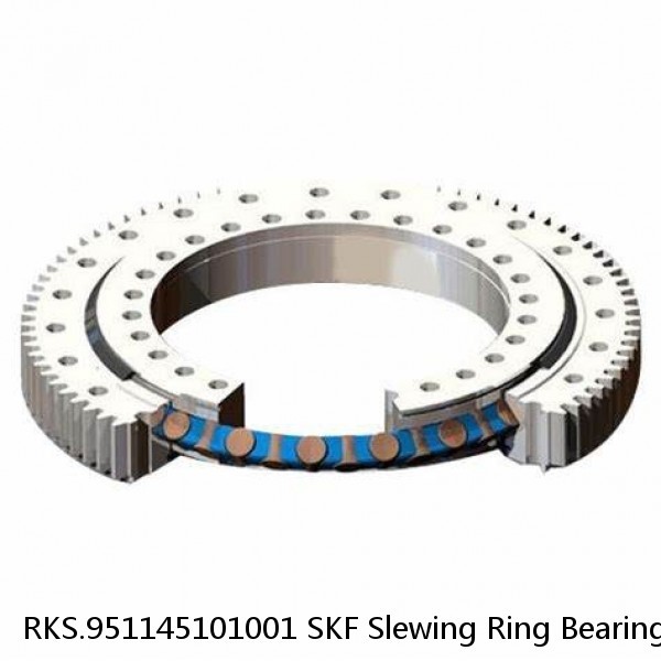 RKS.951145101001 SKF Slewing Ring Bearings